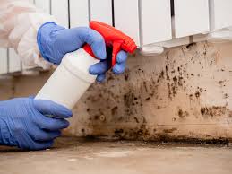  Youngtown, AZ Mold Remediation Pros